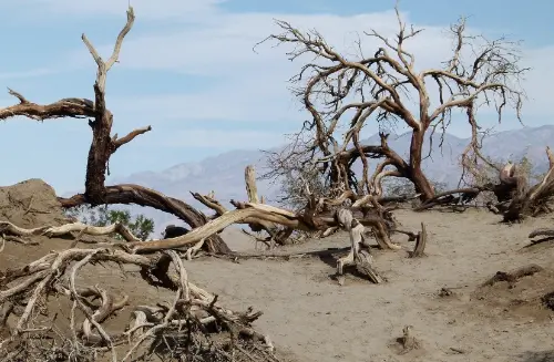 2026 Crypto Dead Projects List